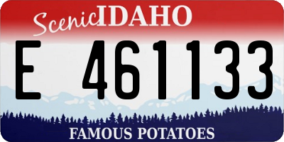 ID license plate E461133