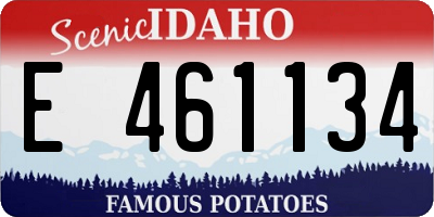 ID license plate E461134