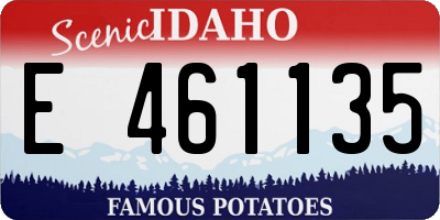 ID license plate E461135