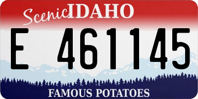 ID license plate E461145