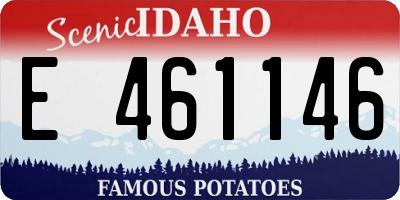 ID license plate E461146