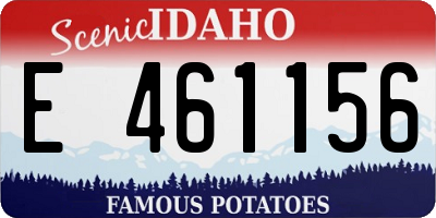 ID license plate E461156