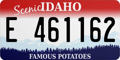 ID license plate E461162