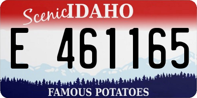 ID license plate E461165