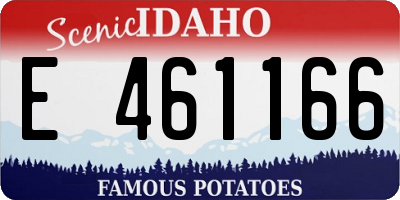 ID license plate E461166