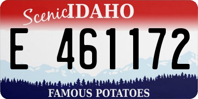 ID license plate E461172