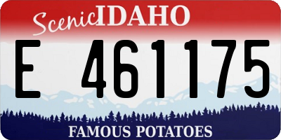 ID license plate E461175