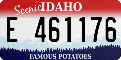 ID license plate E461176