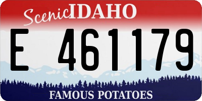ID license plate E461179