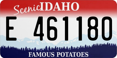ID license plate E461180
