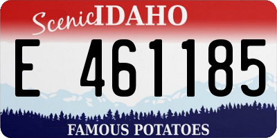 ID license plate E461185