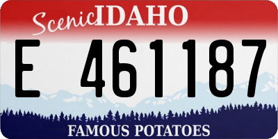 ID license plate E461187