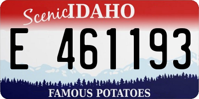 ID license plate E461193
