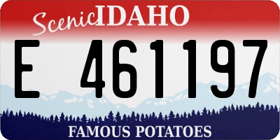 ID license plate E461197