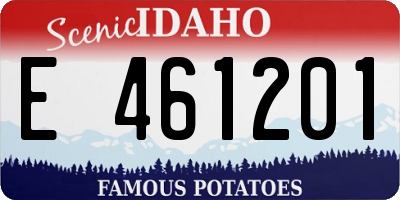ID license plate E461201