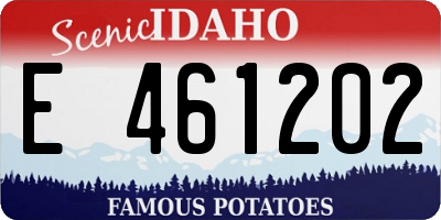 ID license plate E461202