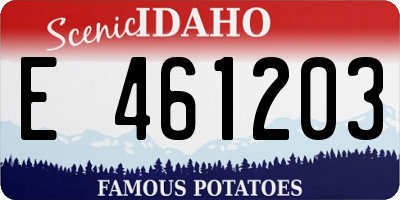 ID license plate E461203