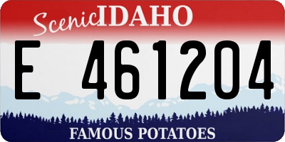 ID license plate E461204