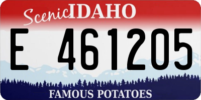 ID license plate E461205