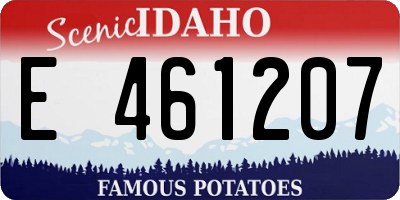 ID license plate E461207