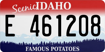 ID license plate E461208