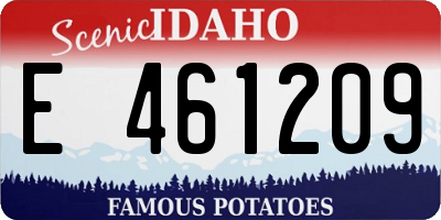 ID license plate E461209