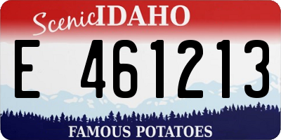ID license plate E461213