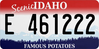 ID license plate E461222