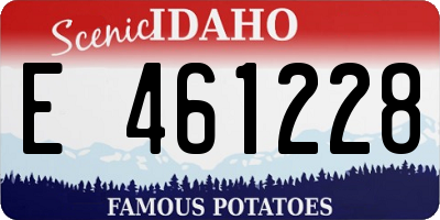 ID license plate E461228