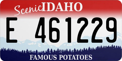 ID license plate E461229
