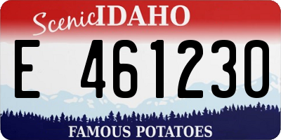 ID license plate E461230