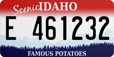 ID license plate E461232