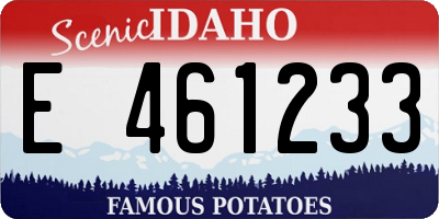 ID license plate E461233
