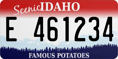 ID license plate E461234