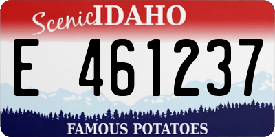 ID license plate E461237