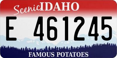 ID license plate E461245