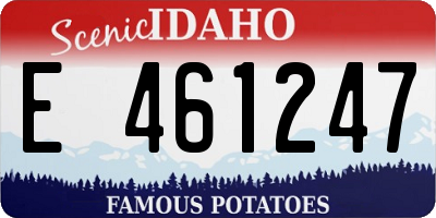 ID license plate E461247