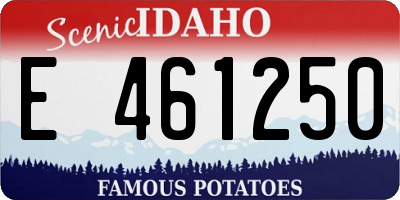 ID license plate E461250