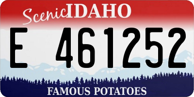 ID license plate E461252