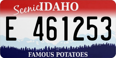 ID license plate E461253