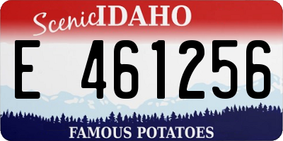 ID license plate E461256