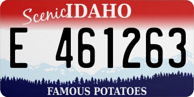 ID license plate E461263