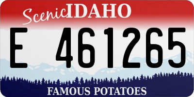 ID license plate E461265