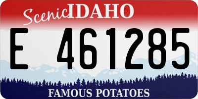 ID license plate E461285