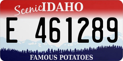 ID license plate E461289