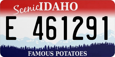 ID license plate E461291