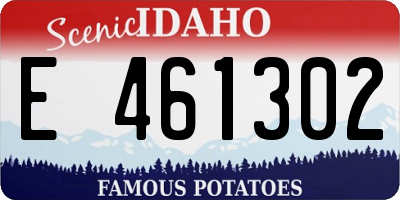 ID license plate E461302