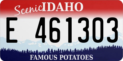 ID license plate E461303