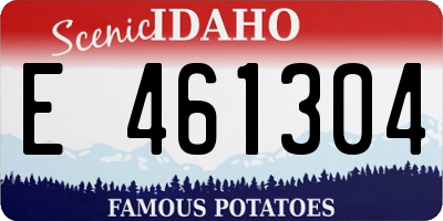 ID license plate E461304