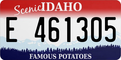 ID license plate E461305